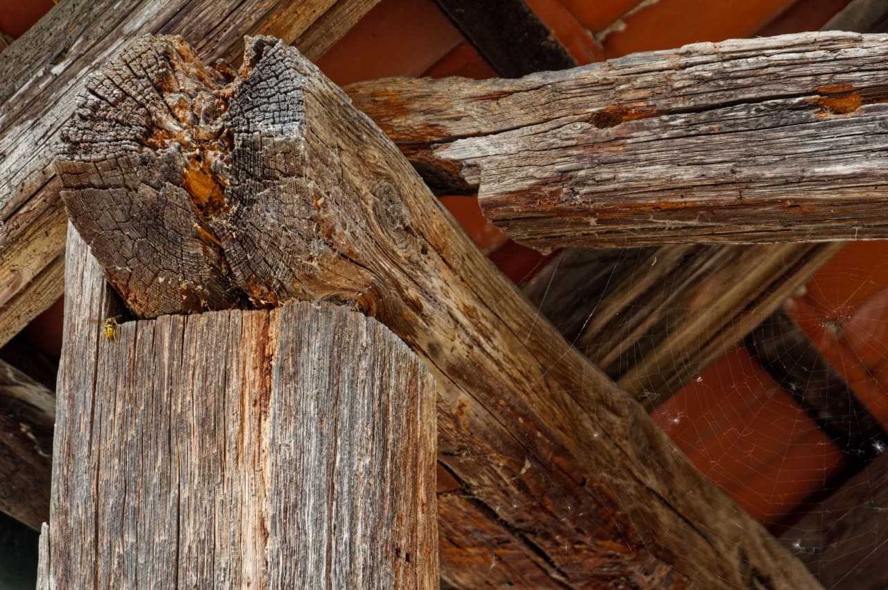 Monitorización de anclajes con Rockchip